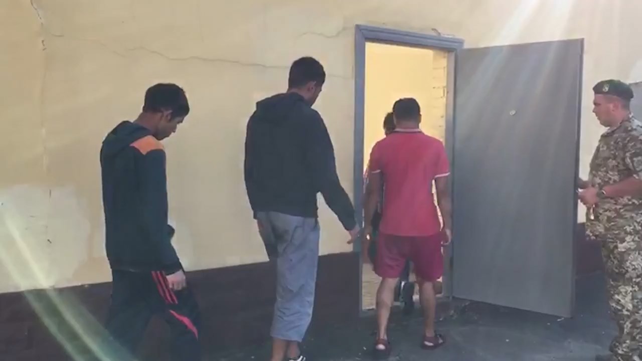 Нелегальні мігранти ховалися у соняшнику від прикордонників