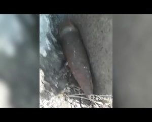У Харкові на території школи знайшли снаряд часів Другої світової війни