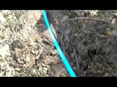 prikordonniki viyavili spirtovij