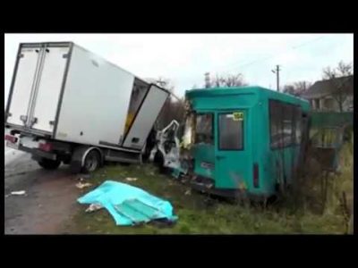 аварії,авто,автомобіль,ГУНПвЖитомирськійобласті,ДТП,житомирщина,кримінал,кримінальніновини,поліція,правоохоронці,трасаКиїв Чоп