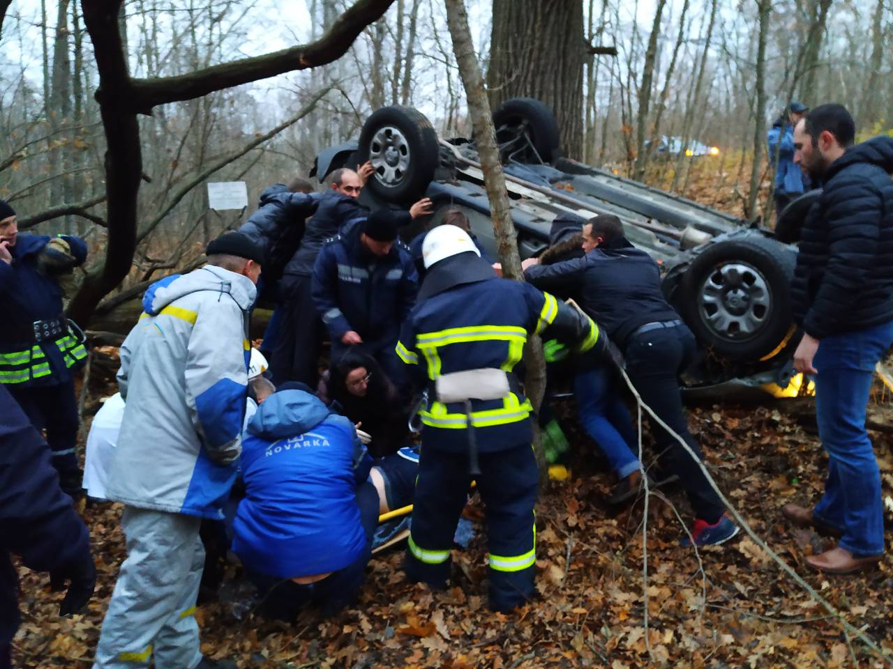 ДТП у Зоні відчуження: Водій врізався у лося
